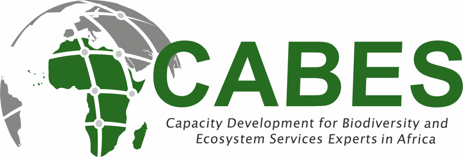 logo2