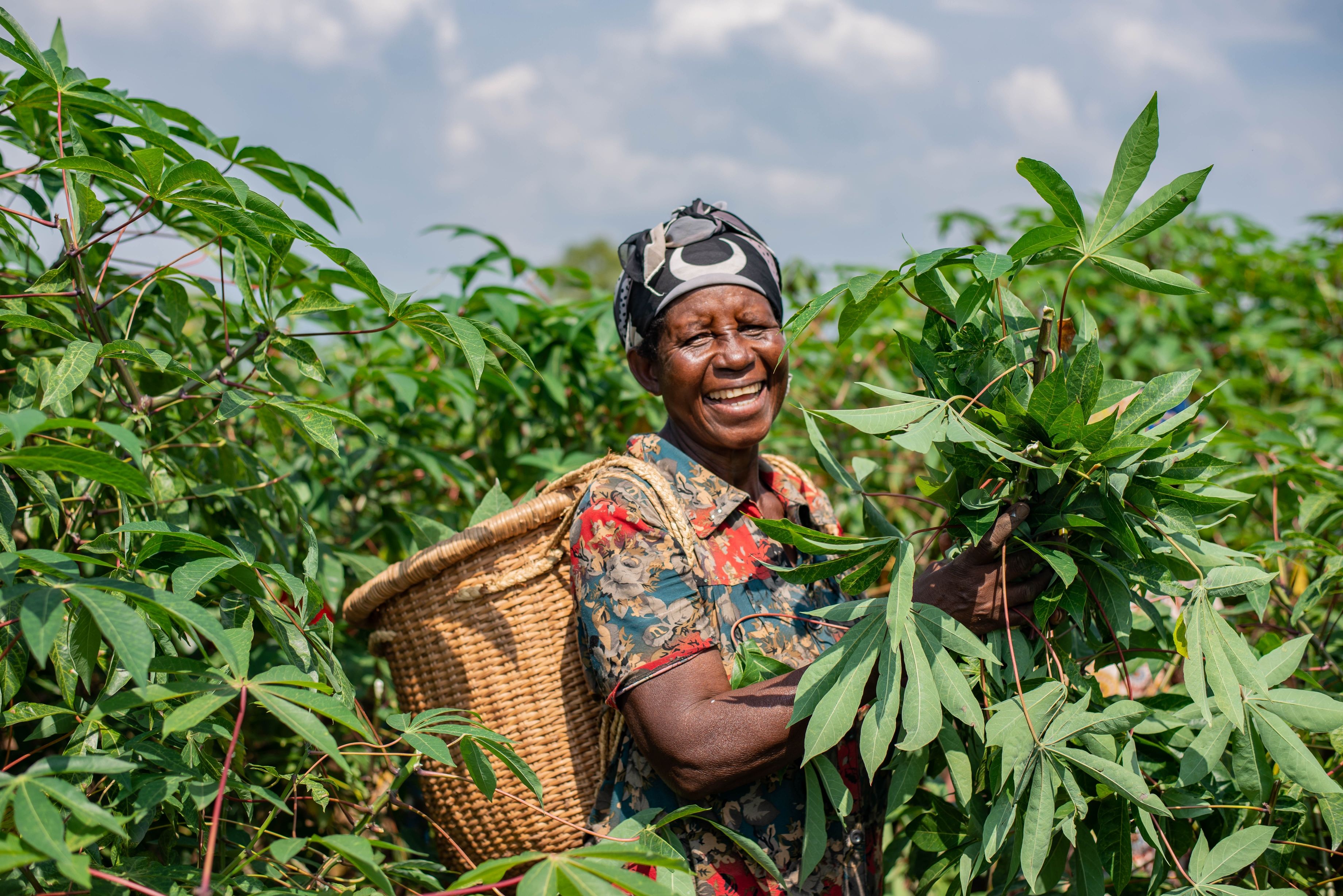 Nature-Based Solutions for Sustainable Conservation of African Biodiversity